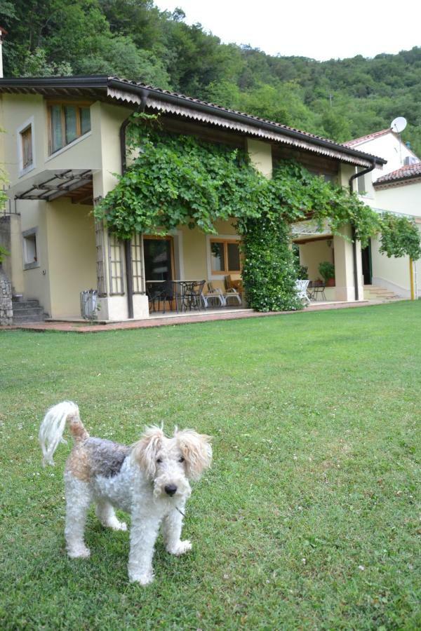 B&B Ca' Dell'Ortolan Villaga Exterior foto